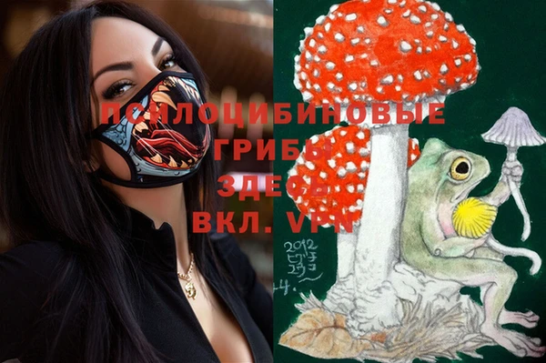 гидра Карталы
