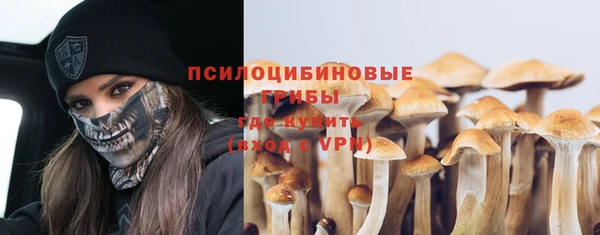 экстази Каменка