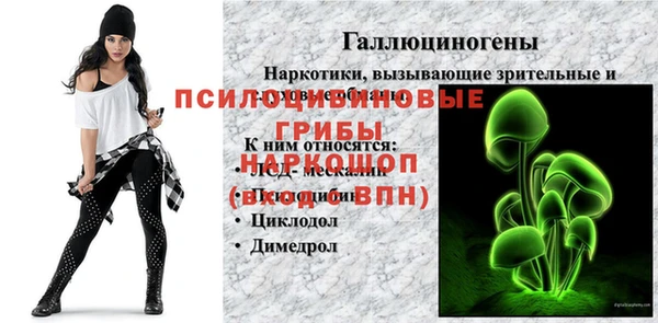 ГАЛЛЮЦИНОГЕННЫЕ ГРИБЫ Кинешма