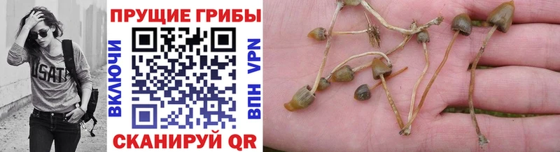 Купить закладки Верхняя Салда Псилоцибиновые грибы мухоморы